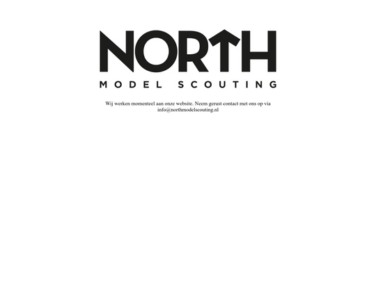 North Model Scouting Logo