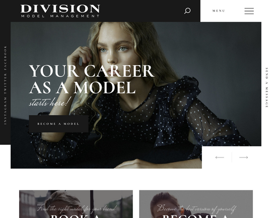 Division Model Management